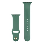 COTECi silicone sports bracelet for Apple watch 38/40/41mm pine green