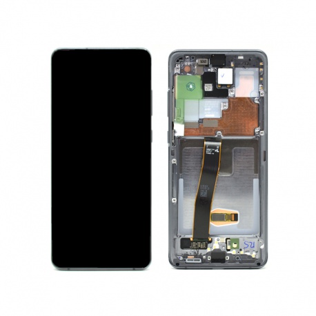 LCD + dotyk + rámeček bez kamer pro Samsung Galaxy S20 Ultra G988 šedá (Service Pack)