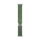 RhinoTech Ultra Alpine Loop strap for Apple Watch 42/44/45/49mm green