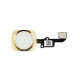 Domovské tlačítko + flex kabel zlatá pro Apple iPhone 6 Plus